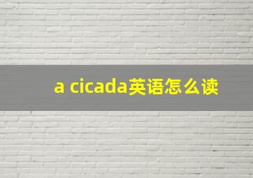 a cicada英语怎么读